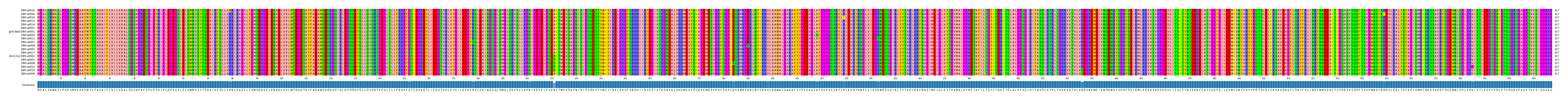 Multiple Alignments (by translate haplotype similarity)