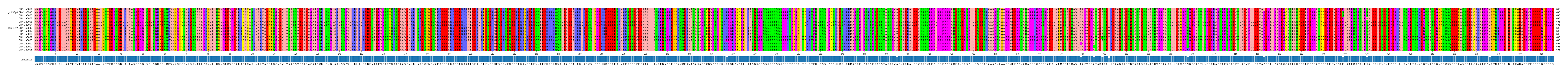 Multiple Alignments (by translate haplotype similarity)