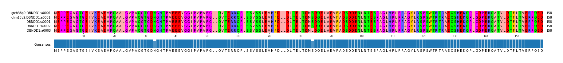 Multiple Alignments (by translate haplotype frequency)