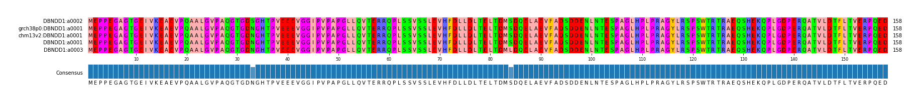 Multiple Alignments (by translate haplotype similarity)