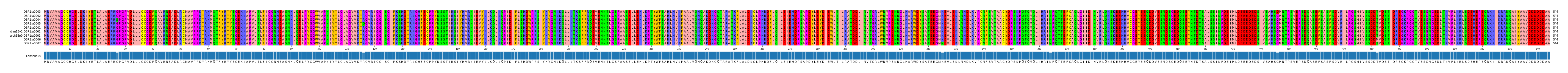 Multiple Alignments (by translate haplotype similarity)
