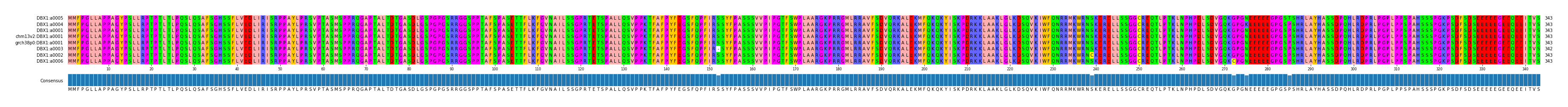 Multiple Alignments (by translate haplotype similarity)