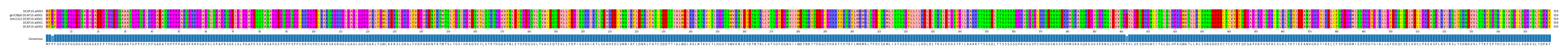 Multiple Alignments (by translate haplotype similarity)