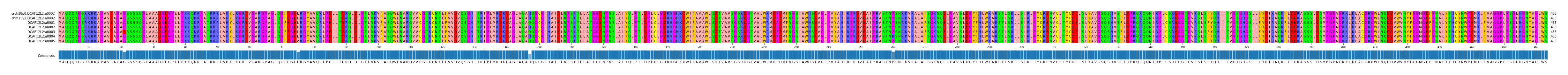 Multiple Alignments (by translate haplotype frequency)