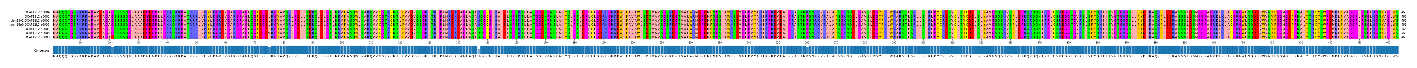 Multiple Alignments (by translate haplotype similarity)