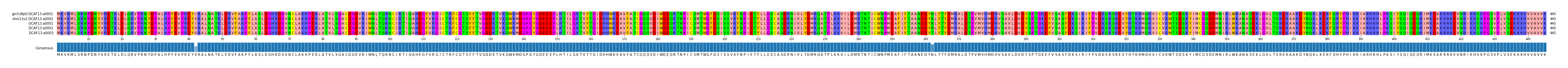 Multiple Alignments (by translate haplotype frequency)