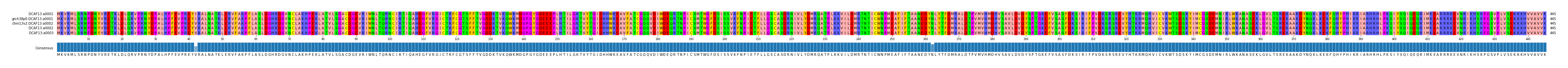 Multiple Alignments (by translate haplotype similarity)