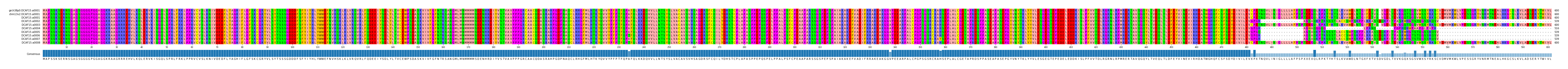 Multiple Alignments (by translate haplotype frequency)