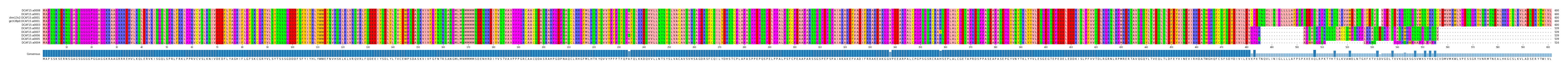Multiple Alignments (by translate haplotype similarity)