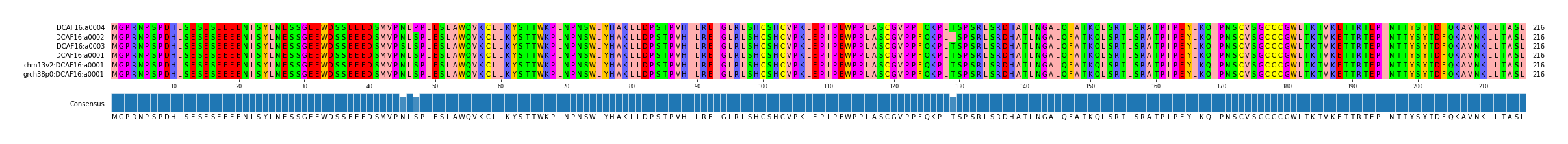 Multiple Alignments (by translate haplotype similarity)