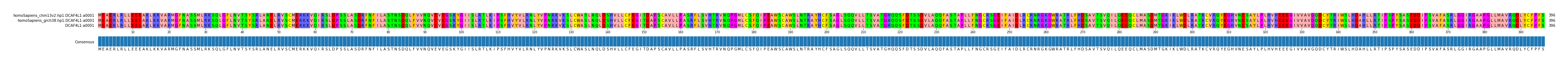 Multiple Alignments (by translate haplotype similarity)
