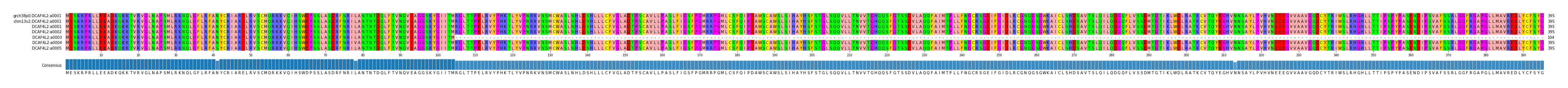 Multiple Alignments (by translate haplotype frequency)