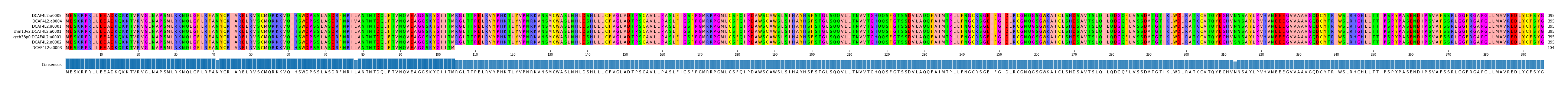 Multiple Alignments (by translate haplotype similarity)
