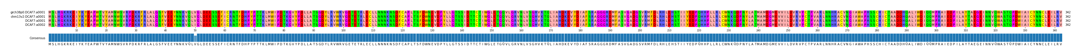 Multiple Alignments (by translate haplotype similarity)