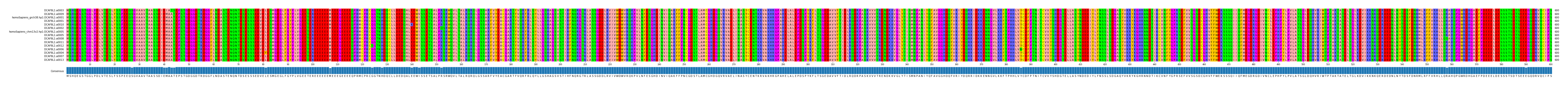 Multiple Alignments (by translate haplotype similarity)