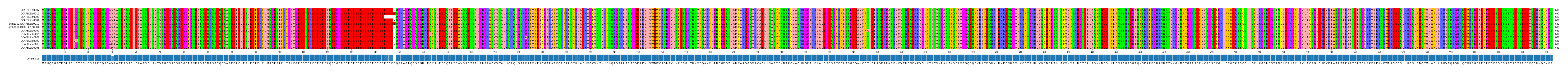 Multiple Alignments (by translate haplotype similarity)