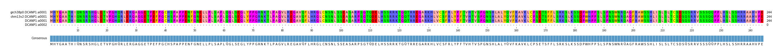 Multiple Alignments (by translate haplotype similarity)