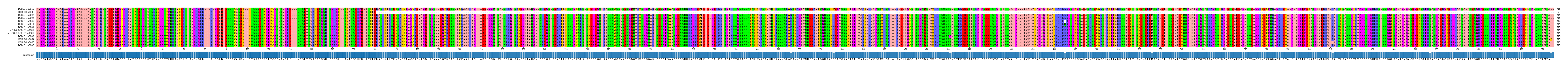 Multiple Alignments (by translate haplotype similarity)