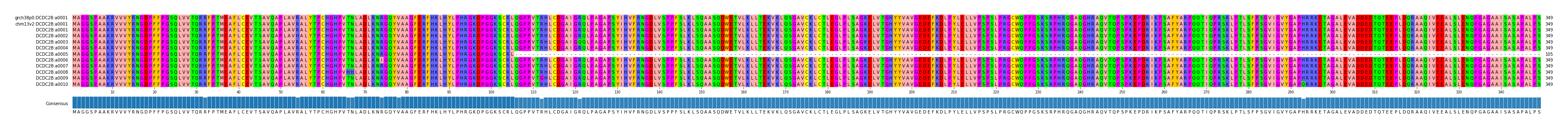 Multiple Alignments (by translate haplotype frequency)