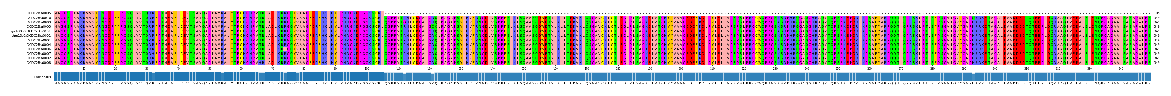 Multiple Alignments (by translate haplotype similarity)