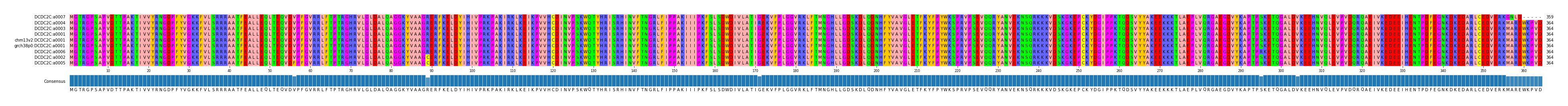 Multiple Alignments (by translate haplotype similarity)