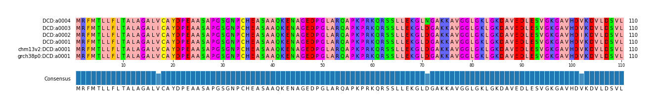 Multiple Alignments (by translate haplotype similarity)