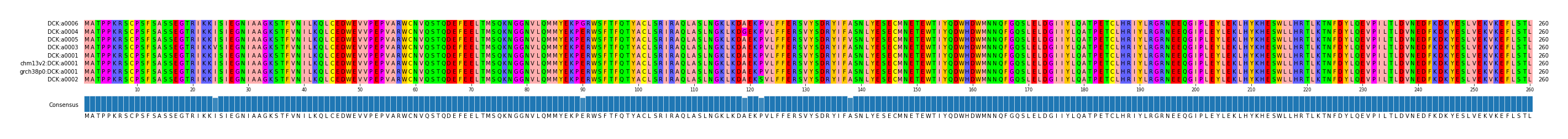 Multiple Alignments (by translate haplotype similarity)