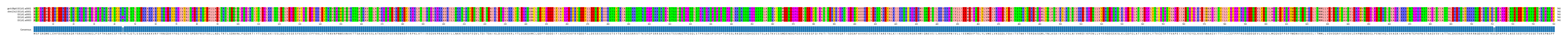 Multiple Alignments (by translate haplotype frequency)