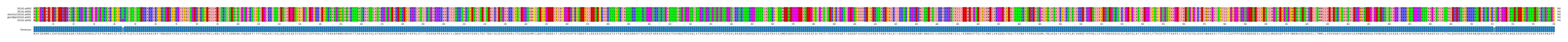 Multiple Alignments (by translate haplotype similarity)