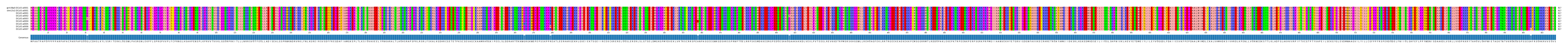 Multiple Alignments (by translate haplotype frequency)