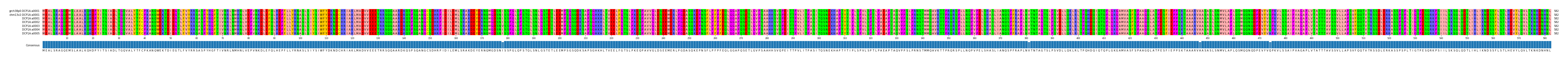 Multiple Alignments (by translate haplotype frequency)