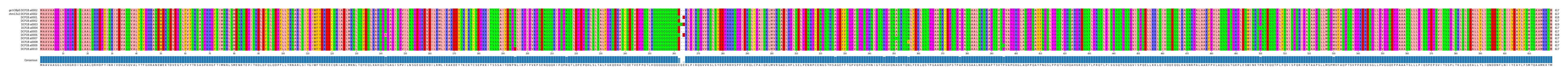 Multiple Alignments (by translate haplotype frequency)