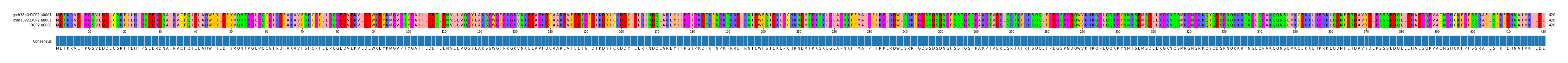 Multiple Alignments (by translate haplotype similarity)