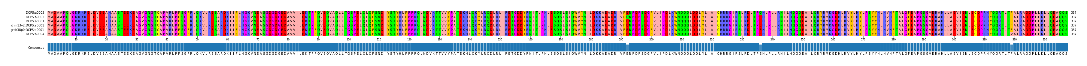 Multiple Alignments (by translate haplotype similarity)
