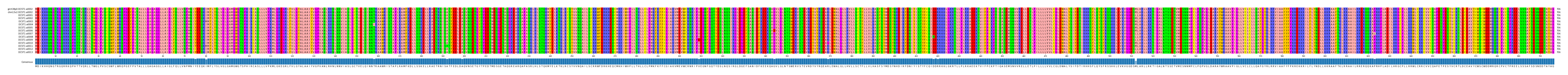 Multiple Alignments (by translate haplotype frequency)