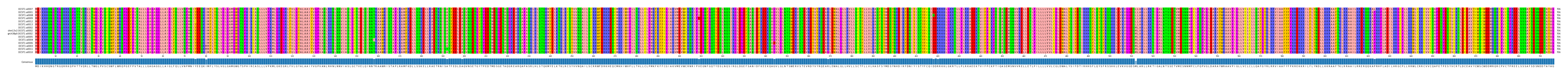 Multiple Alignments (by translate haplotype similarity)