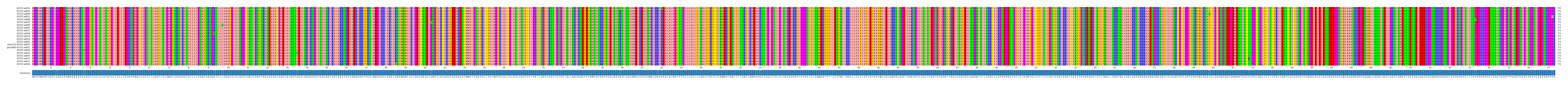 Multiple Alignments (by translate haplotype similarity)