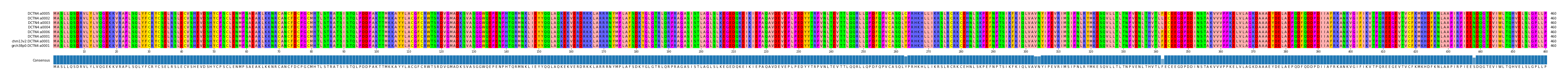 Multiple Alignments (by translate haplotype similarity)