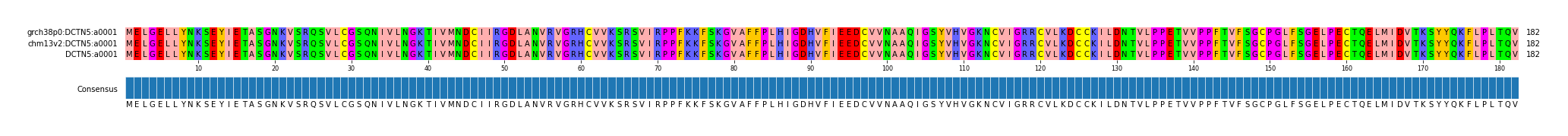 Multiple Alignments (by translate haplotype frequency)