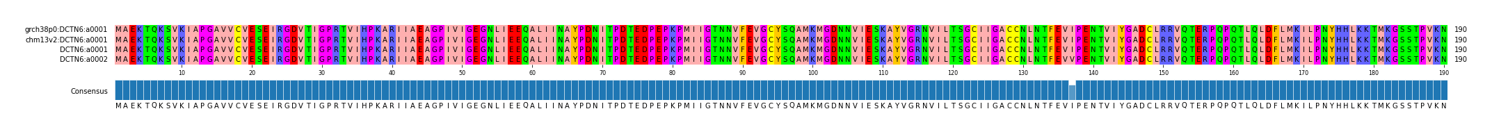 Multiple Alignments (by translate haplotype similarity)