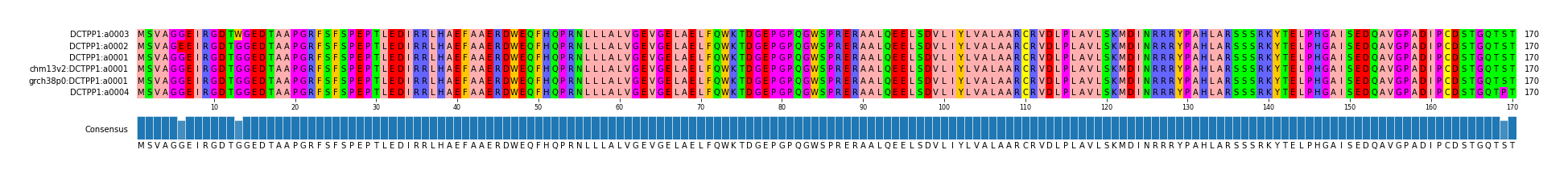 Multiple Alignments (by translate haplotype similarity)