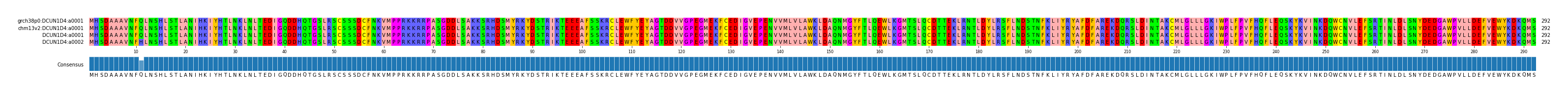Multiple Alignments (by translate haplotype similarity)