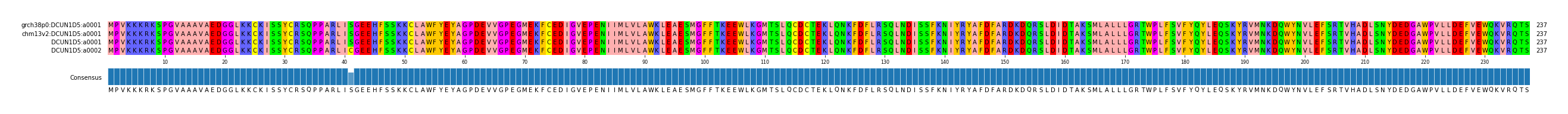 Multiple Alignments (by translate haplotype similarity)