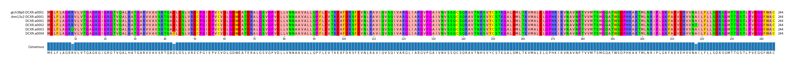 Multiple Alignments (by translate haplotype frequency)