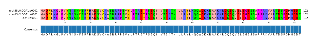 Multiple Alignments (by translate haplotype similarity)
