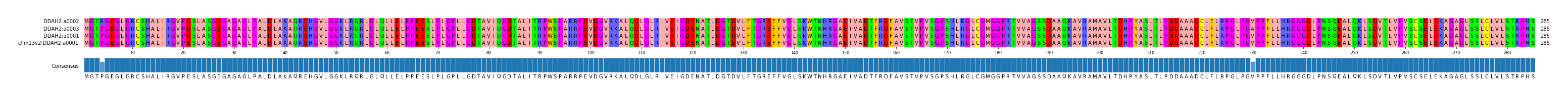 Multiple Alignments (by translate haplotype similarity)