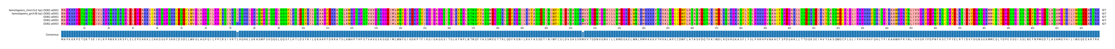 Multiple Alignments (by translate haplotype frequency)
