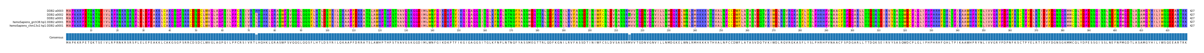Multiple Alignments (by translate haplotype similarity)