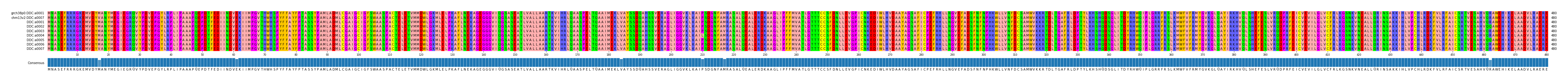 Multiple Alignments (by translate haplotype frequency)