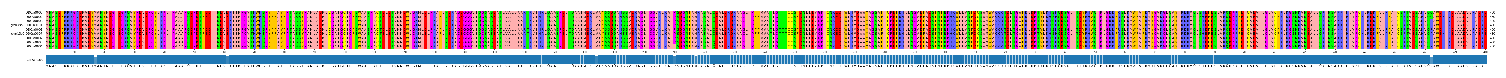 Multiple Alignments (by translate haplotype similarity)